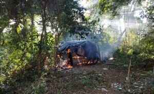 Desmantelan estructuras narco y eliminan 10.000 kilos de marihuana