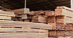 La Nación / Hubo nuevo récord en envío de madera contrachapada