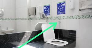 Diario HOY | Saquean caños y grifos del baño para ostomizados del IPS Ingavi