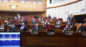 Che Róga Porã: Préstamo de USD 200 millones cuenta con media sanción en el Senado