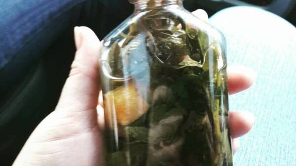 Bebé de un año quedó internado tras intoxicarse con remedio casero de la abuela