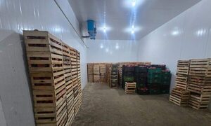 Mega incautación de productos agrícolas de contrabando supera G. 1.300 millones