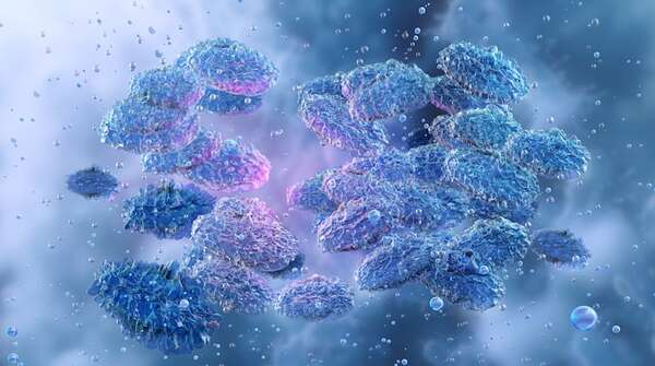 Hallan el gen que alargó las pandemias más letales de peste en la historia - Ciencia - ABC Color