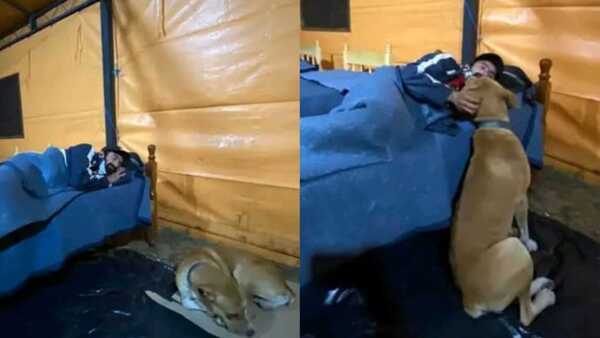 Un firu fue resguardado del frío junto a su dueño en albergue