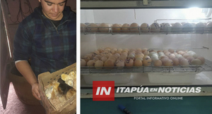 AVICULTURA COMUNITARIA CRECE EN NUEVA ALBORADA CON APOYO MUNICIPAL
