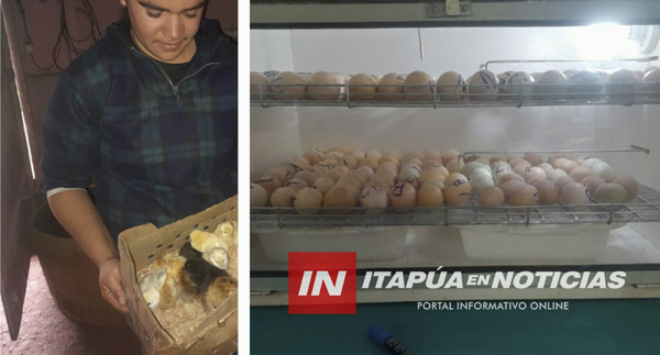 AVICULTURA COMUNITARIA CRECE EN NUEVA ALBORADA CON APOYO MUNICIPAL