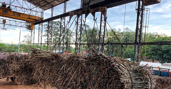 La Nación / Paraguay pierde competitividad y grandes oportunidades de negocio sin Ley de Caña de Azúcar