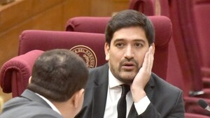 El abdismo se aparta de las intervenciones porque la Contraloría "responde" al cartismo