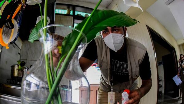 En ascenso: El 9% de nuevos casos de dengue corresponden al serotipo 3