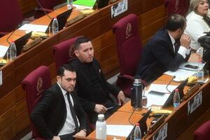 Senado aprueba reforma de la ley de Protección Animal - Política - ABC Color