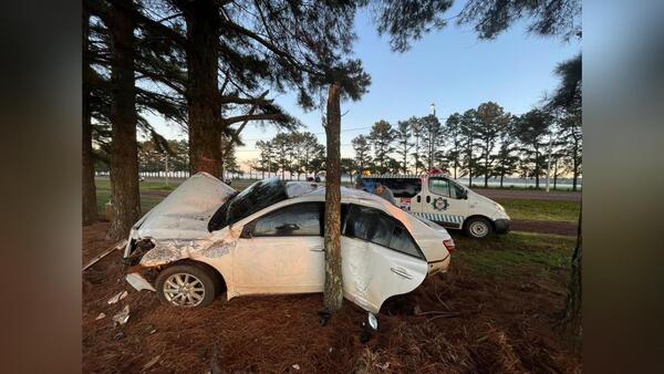 Automovilista se estrella contra un árbol en Tomás Romero Pereira