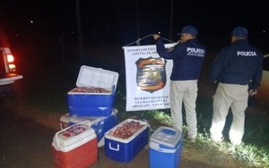 Detienen a presuntos abigeos en San Pedro
