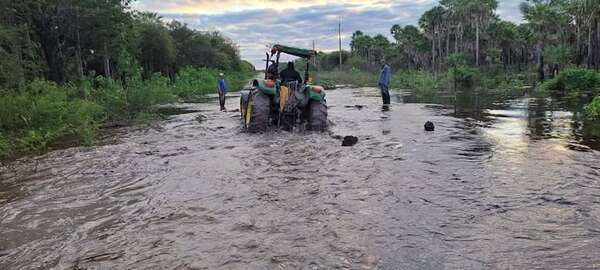 Amor al terruño chaqueño en medio de la orfandad estatal en el Alto Paraguay - Noticias del Chaco - ABC Color