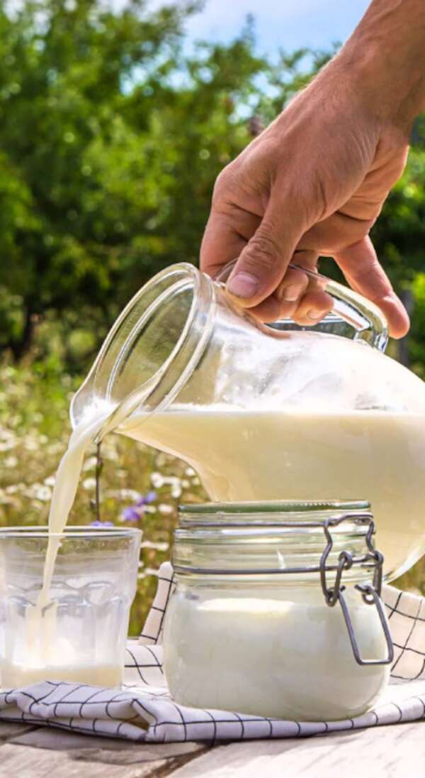 Día Mundial de la Leche: estabilidad y desafíos en Paraguay - Empresariales - ABC Color
