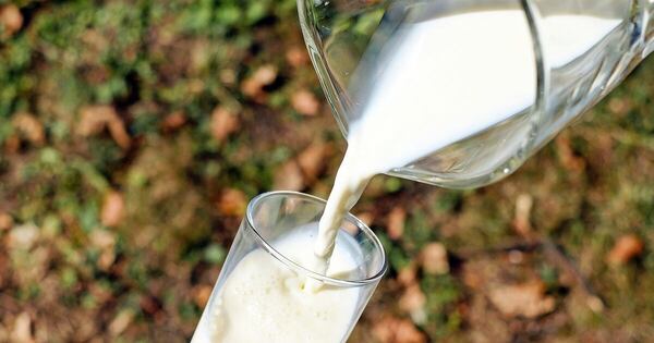 La Nación / Producción de leche: un rubro que sostiene económicamente 5.000 fincas en Paraguay