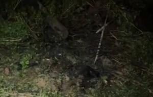 Hallan cuerpo calcinado de adolescente desaparecida