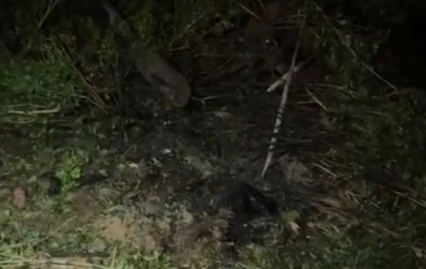 Hallan cuerpo calcinado de adolescente desaparecida