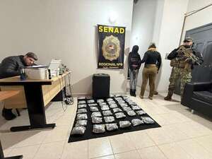 La Senad incauta más de 11 kilos de marihuana tipo skunk en Pilar - Policiales - ABC Color