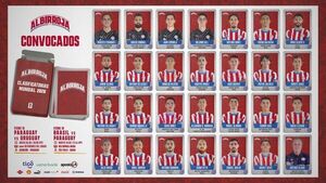 Gustavo Alfaro dio a conocer la lista de la Albirroja - 1000 Noticias
