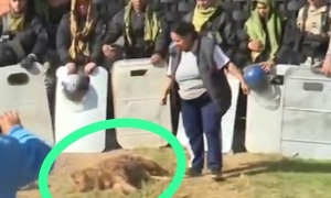 Macabro: Habrían enterrado el cuerpo de Fernanda junto con un perro muerto - OviedoPress