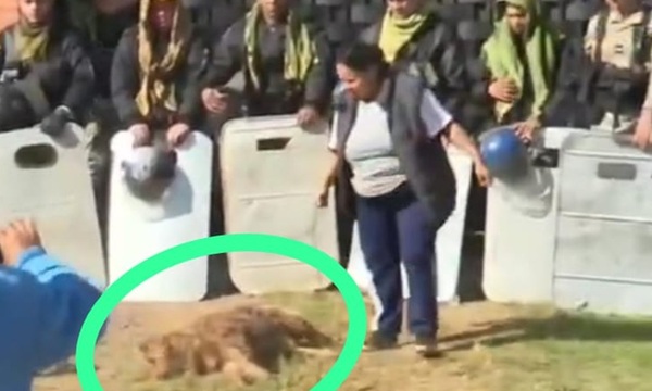 Macabro: Habrían enterrado el cuerpo de Fernanda junto con un perro muerto - OviedoPress