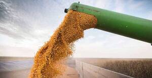 El precio del maíz perdió 5,33%, el trigo cayó 1,66% y la soja tuvo un decremento de 1,54% en mayo