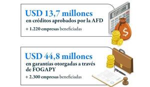 Más de 3.500 mipymes acceden a financiamiento con apoyo de la AFD y FOGAPY