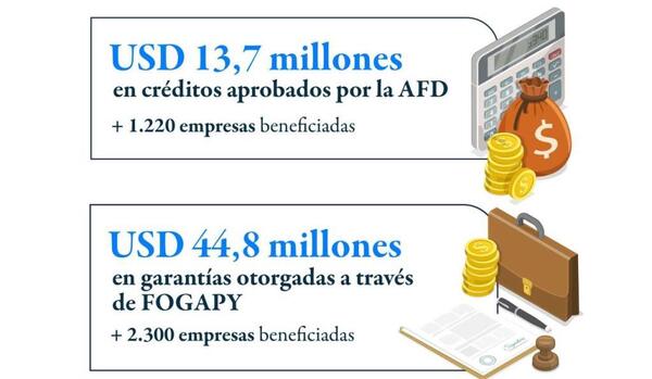 Más de 3.500 mipymes acceden a financiamiento con apoyo de la AFD y FOGAPY