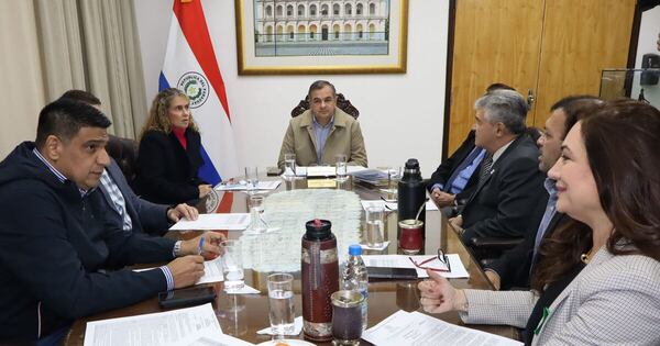 La Nación / Comisión de intervención: “Vamos a darle todas las garantías, nadie nos baja línea”, dice Meza