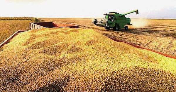 La Nación / Producción global de soja proyecta cifras récord para la temporada 2025/2026