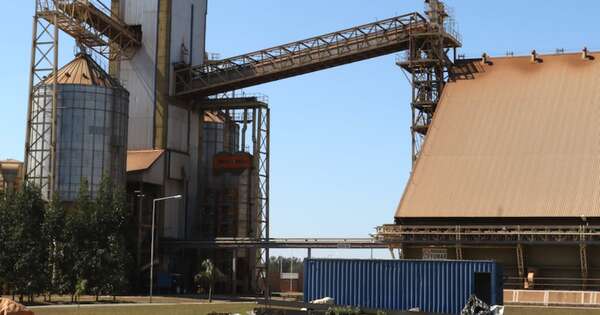 La Nación / Inaugurarán planta aceitera que cambiará el modelo productivo en el Chaco