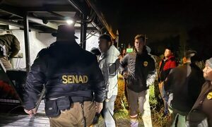En bus larga distancia incautan más de 11 kilos de marihuana tipo Skunk