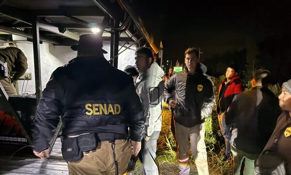 En bus larga distancia incautan más de 11 kilos de marihuana tipo Skunk