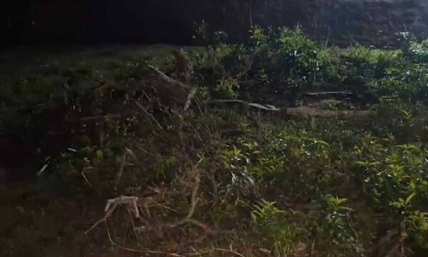 Feminicidio de Fernanda: Adolescente habría escondido su cuerpo por dos días bajo la cama – Prensa 5