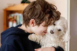 Perros falderos: 7 razas pequeñas que no se despegan de sus humanos - Mascotas - ABC Color