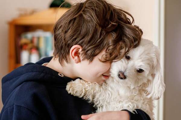 Perros falderos: 7 razas pequeñas que no se despegan de sus humanos - Mascotas - ABC Color
