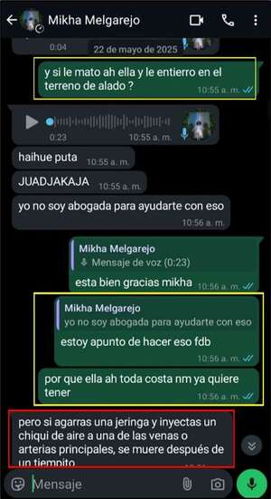 Chats revelan los consejos para matar a Fernanda, sin dejar huellas - Policiales - ABC Color