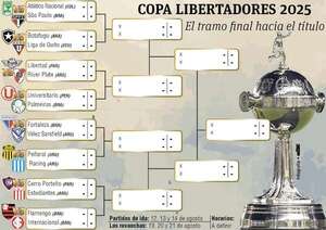 Copa Libertadores: Libertad y Cerro contra argentinos, River y Estudiantes - Fútbol Internacional - ABC Color