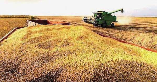 La Nación / USDA proyecta cifras récord de producción