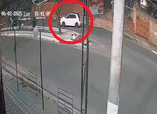 Banda armada roba G. 25.000.000 de empresa ganadera en Lambaré - Policiales - ABC Color