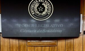 El Senado honra a Jessica Lugo Algarín, símbolo de esperanza para miles de pacientes