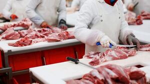 Exportación de carne bovina superó cifra del año 2024