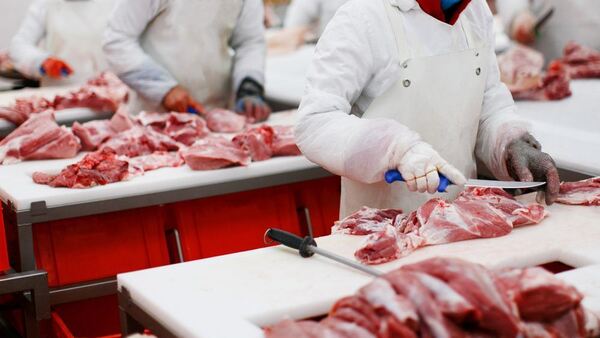 Exportación de carne bovina superó cifra del año 2024