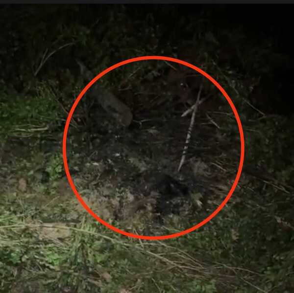 En carretilla, asesino de María Fernanda llevó su cuerpo para tirarlo en un baldío, donde la quemó - ADN Digital