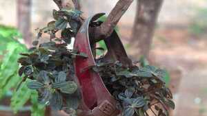 El jardín que recicla cascos y wáter