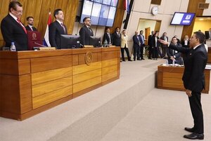 Cámara de Diputados nombró a Diego Candia