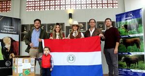 La Nación / Paraguay fortalece su ganadería con genética Polled Hereford importada de Uruguay