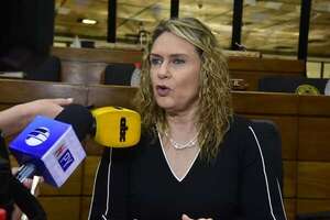 Comisión para intervención de Asunción se reuniría esta semana, según diputada - Política - ABC Color