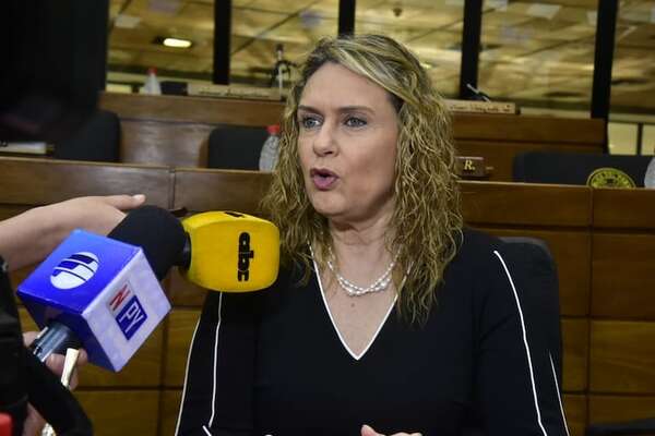 Comisión para intervención de Asunción se reuniría esta semana, según diputada - Política - ABC Color