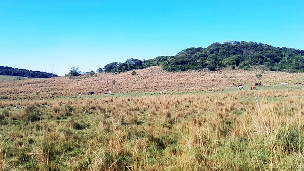 Caapucú: Luego del hallazgo de oro, campean el silencio y la desconfianza
